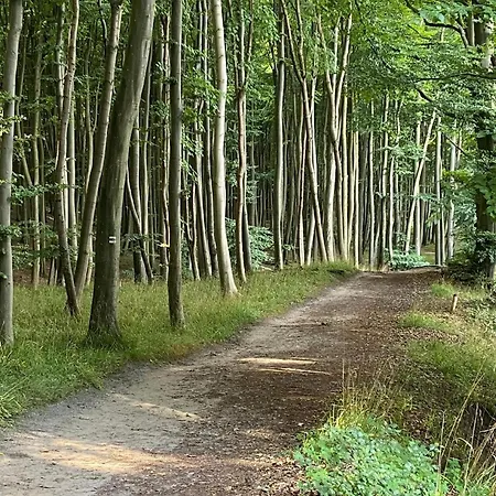 Апартаменты Am Kleinen Koenigsstuhl