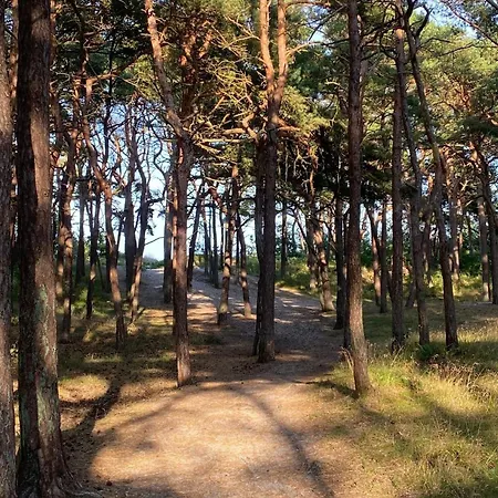Am Kleinen Koenigsstuhl Апартаменты Загард